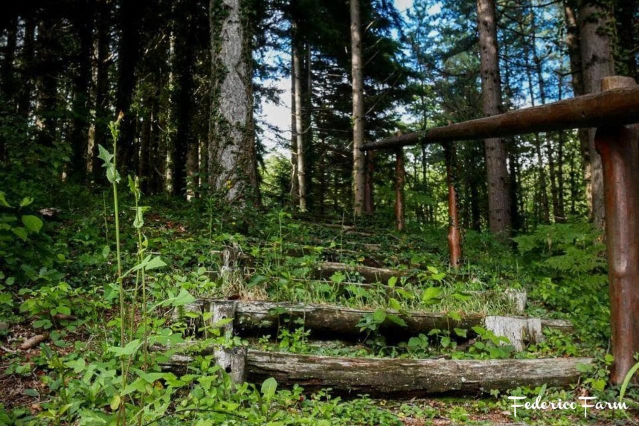 Camping Grondola - Federicofarm Pontremoli Exteriér fotografie