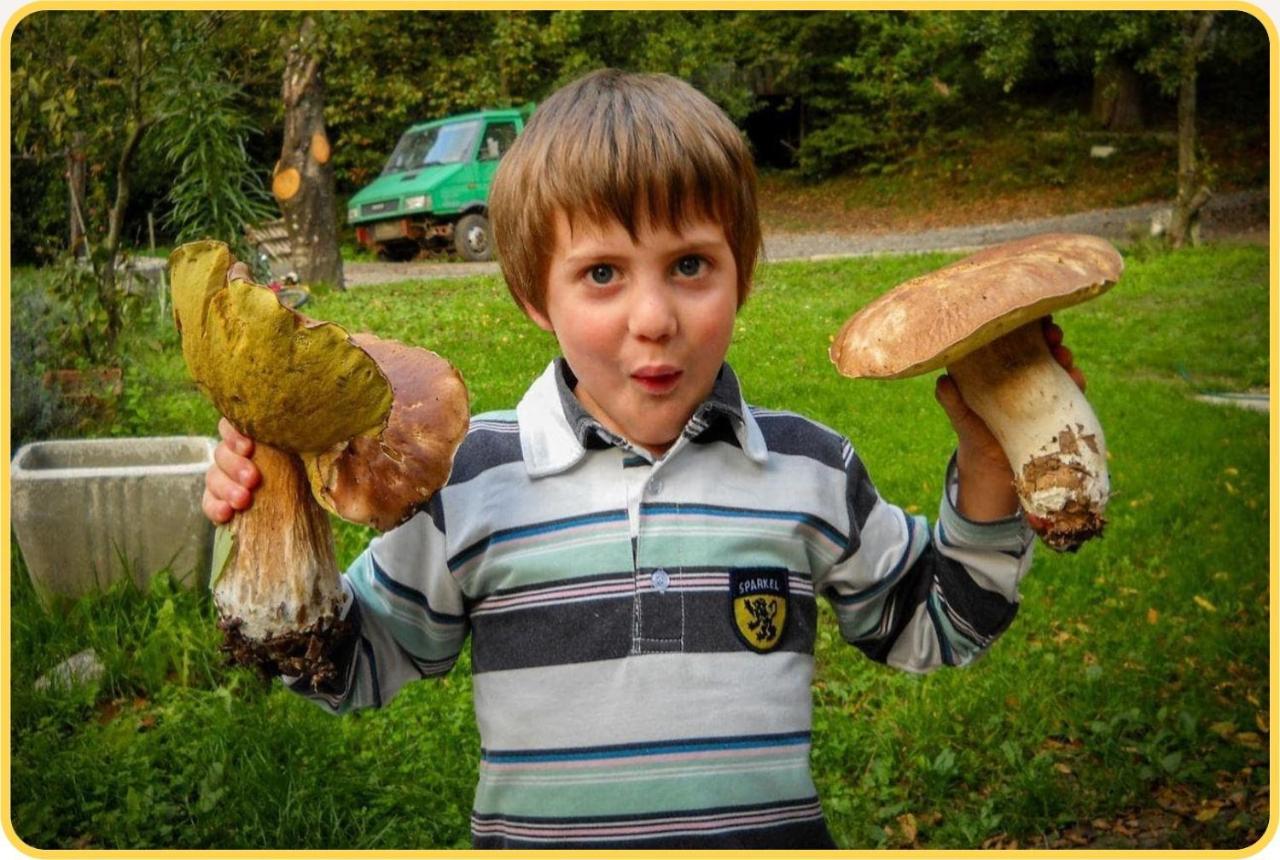 Camping Grondola - Federicofarm Pontremoli Exteriér fotografie
