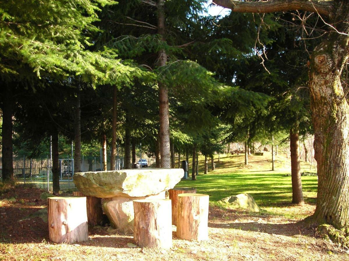 Camping Grondola - Federicofarm Pontremoli Pokoj fotografie